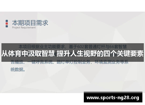 从体育中汲取智慧 提升人生视野的四个关键要素