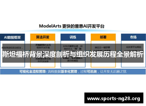 斯坦福桥背景深度剖析与组织发展历程全景解析