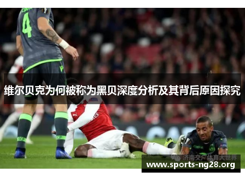 维尔贝克为何被称为黑贝深度分析及其背后原因探究